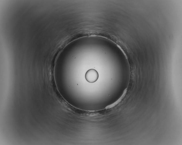 X0000113080716200908281223