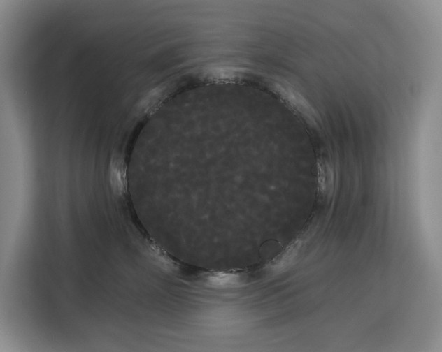 X0000113080718200908281223