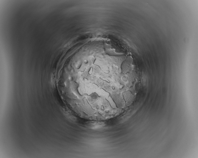 X0000113080719200908281223