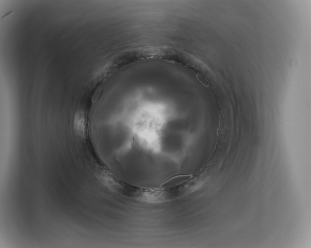 X0000113080720200908281223