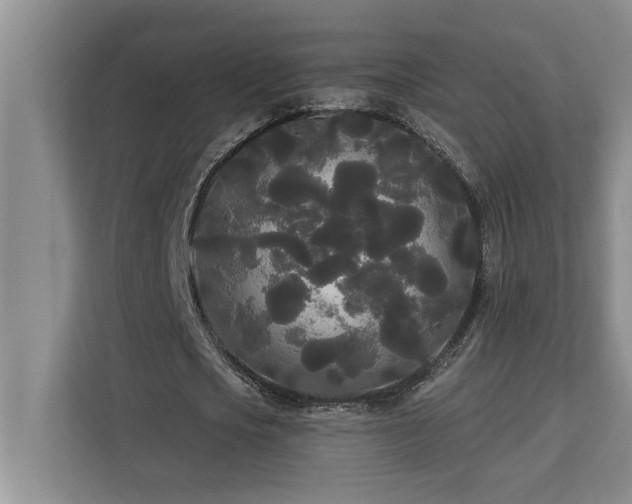 X0000113080721200908281222