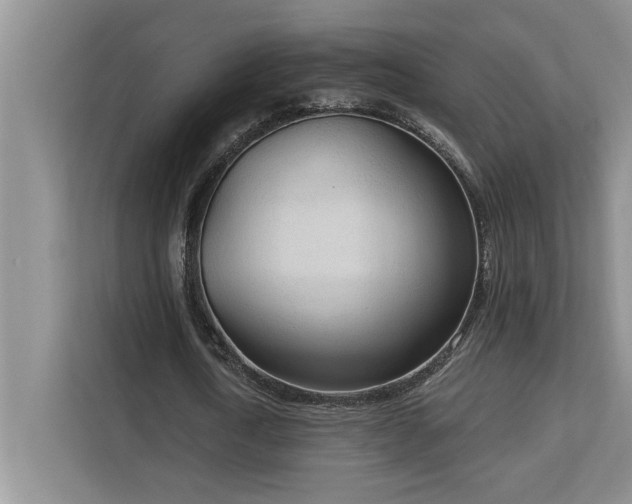 X0000113080722200908281222