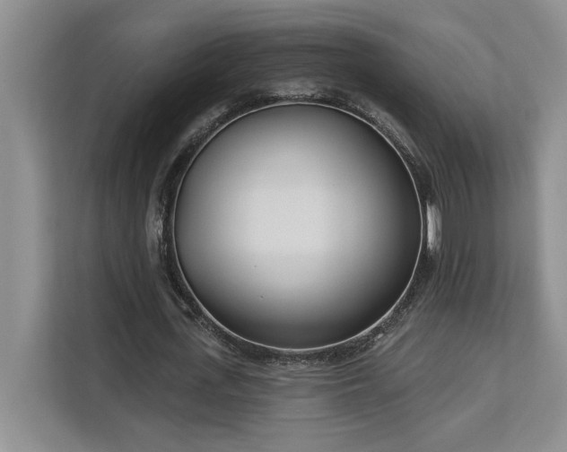 X0000113080723200908281222