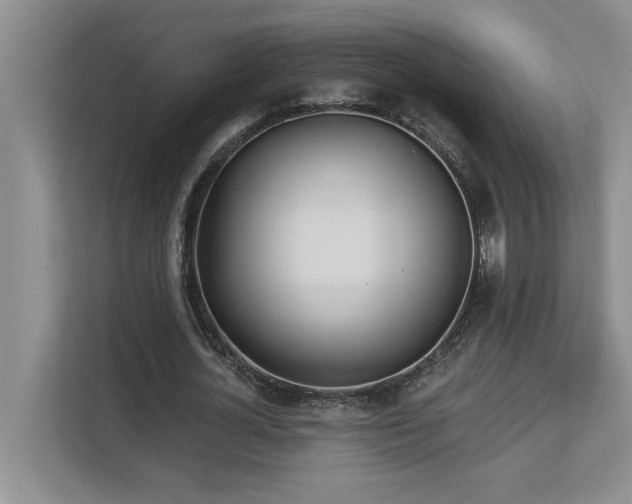 X0000113080724200908281222