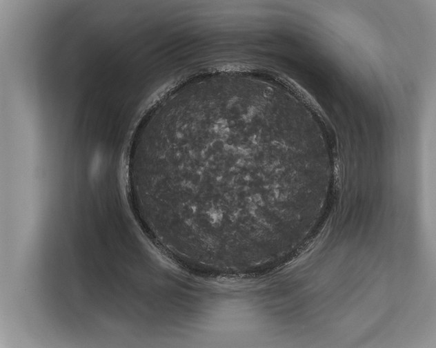 X0000113080725200908281222