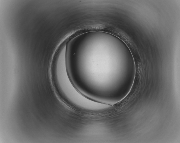 X0000113080726200908281222