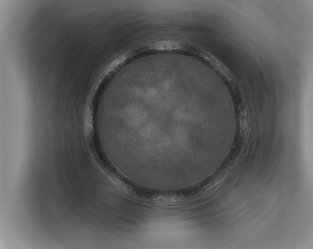 X0000113080727200908281222