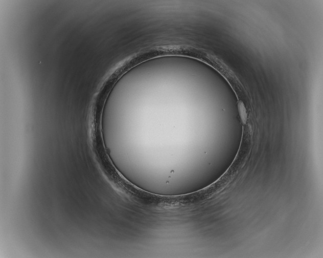 X0000113080728200908281222