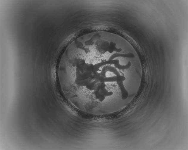 X0000113080729200908281222