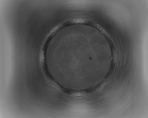 X0000113080731200908281222