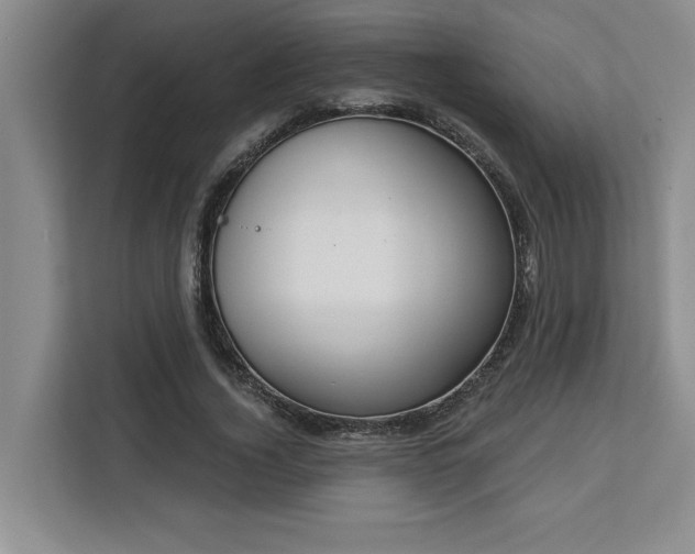 X0000113080732200908281222