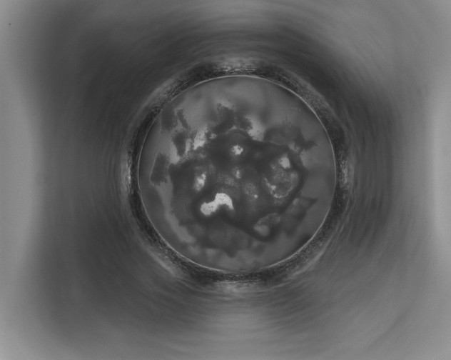 X0000113080733200908281222