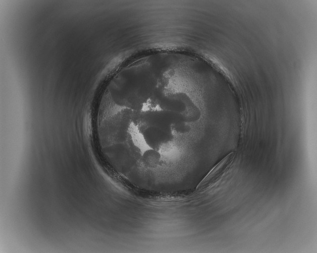 X0000113080734200908281222