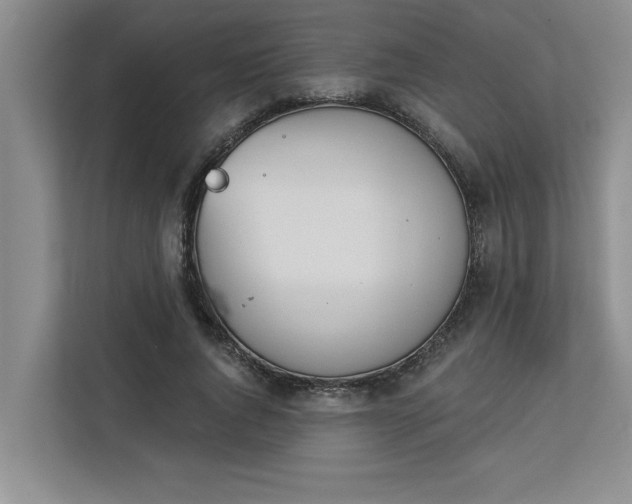 X0000113080736200908281223