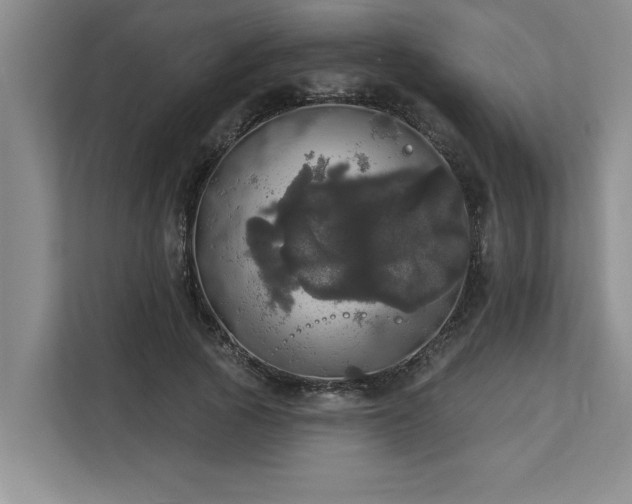 X0000113080737200908281223