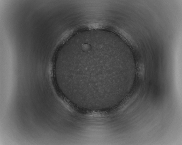 X0000113080738200908281223