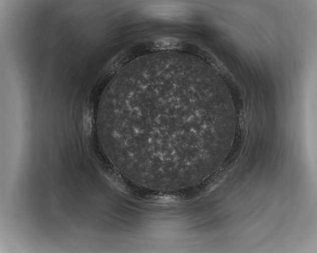 X0000113080741200908281223