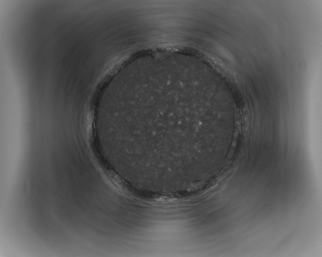 X0000113080742200908281223