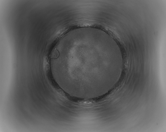 X0000113080743200908281223