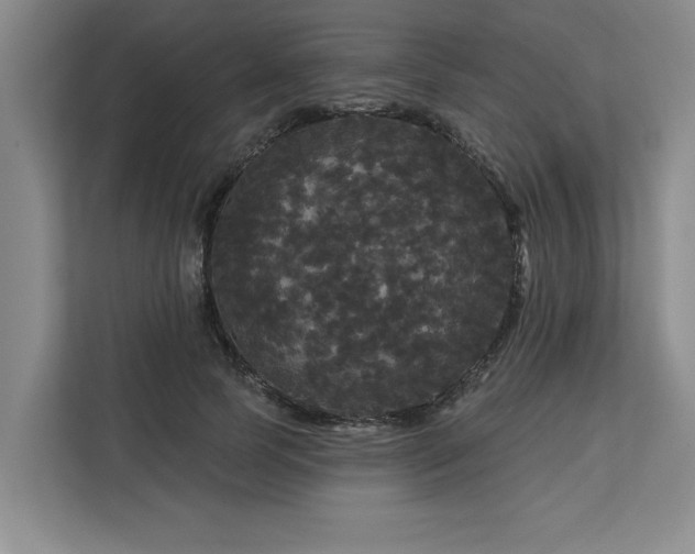 X0000113080745200908281223