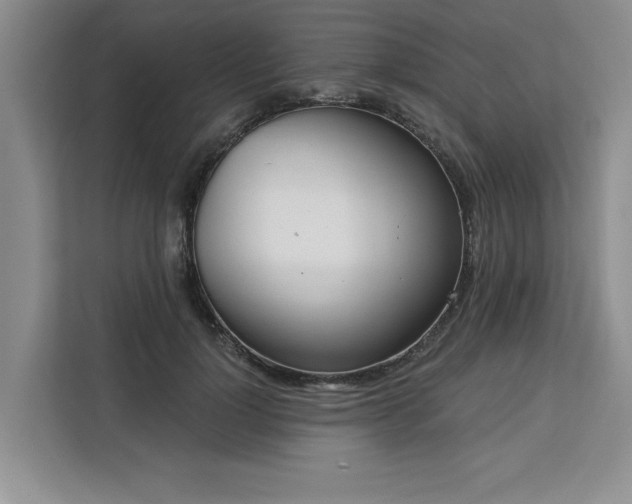 X0000113080748200908281223