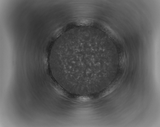 X0000113080749200908281223