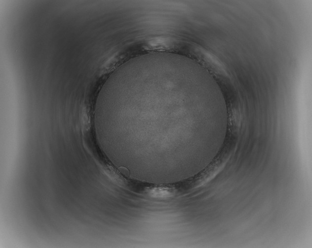 X0000113080751200908281223