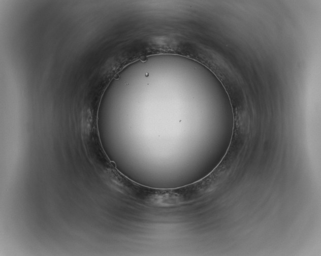 X0000113080752200908281223