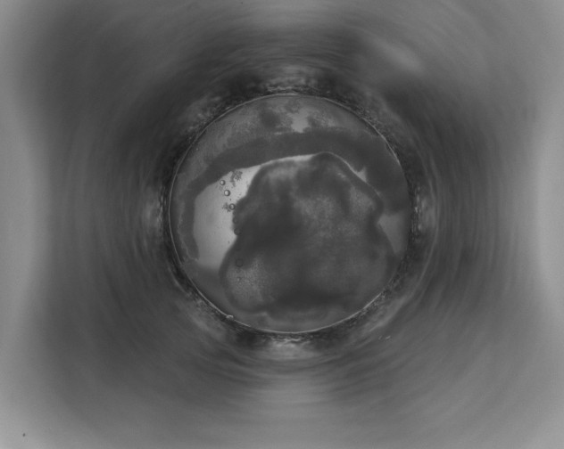 X0000113080753200908281223