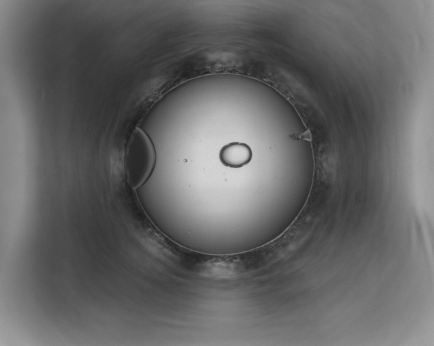 X0000113080756200908281223