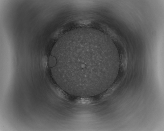 X0000113080758200908281223