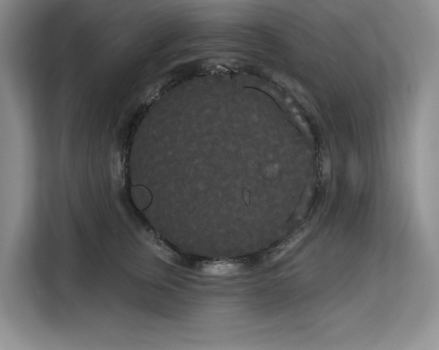 X0000113080759200908281223