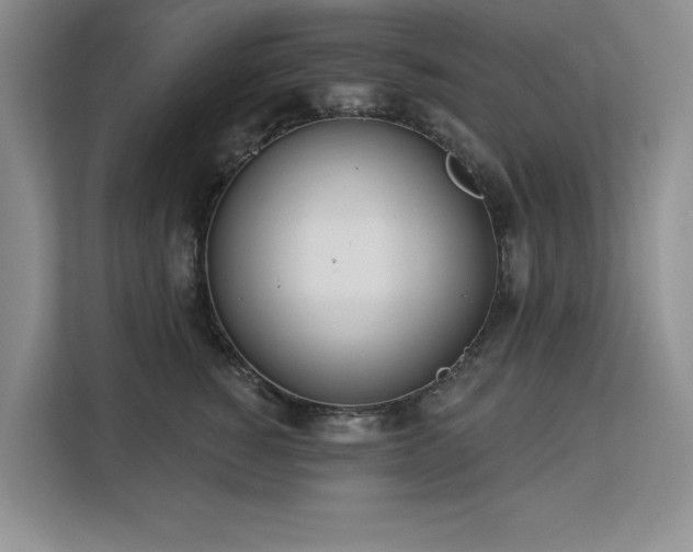 X0000113080760200908281223