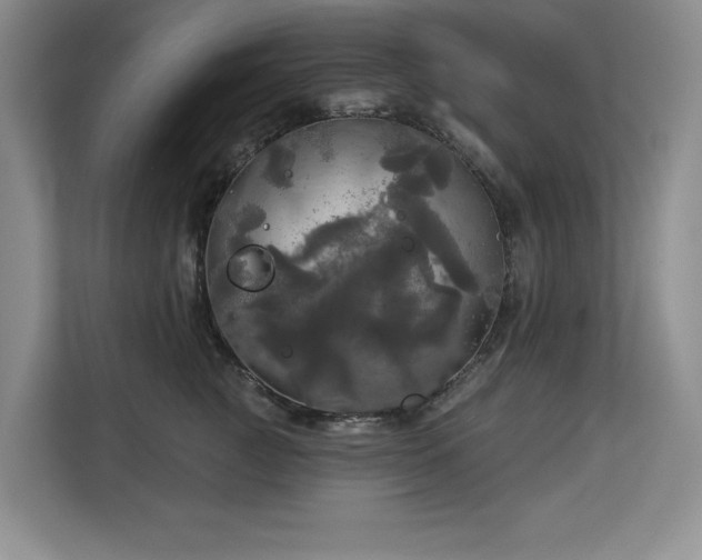 X0000113080761200908281223