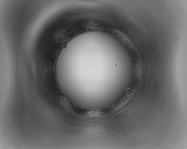 X0000113080762200908281223