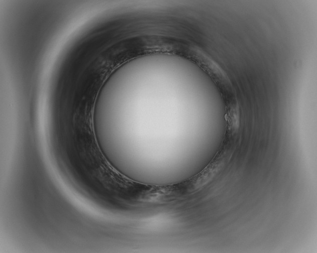 X0000113080764200908281223