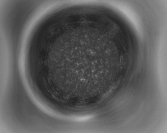 X0000113080765200908281223