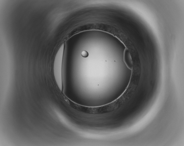 X0000113080766200908281223