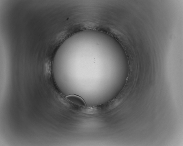 X0000113080768200908281223