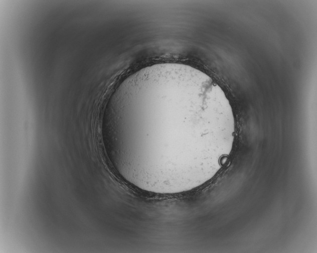 X0000113080769200908281222