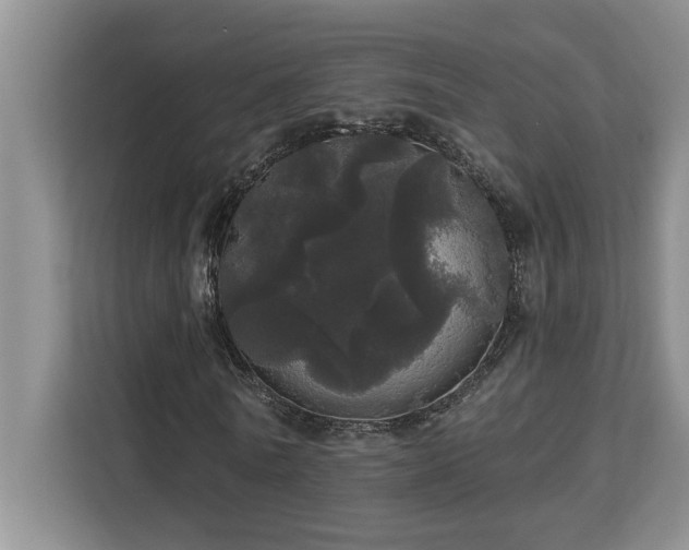 X0000113080770200908281222