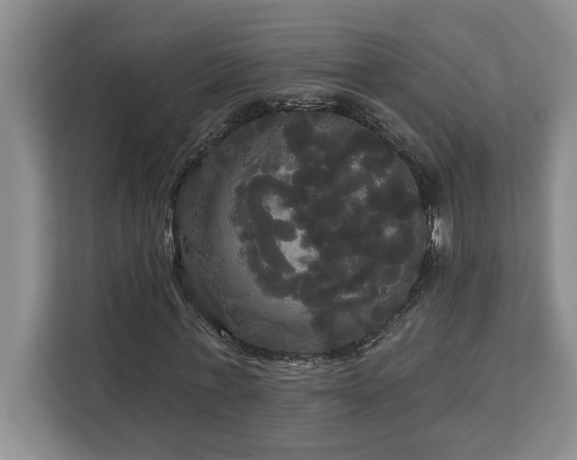 X0000113080771200908281222