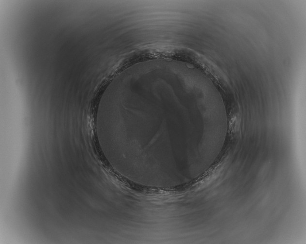 X0000113080772200908281222