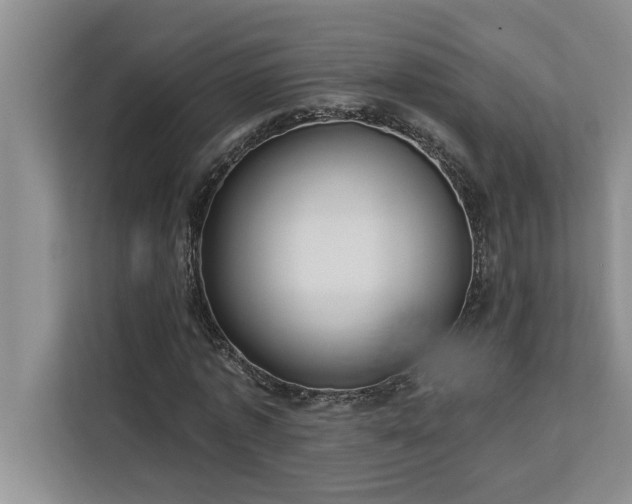 X0000113080773200908281222