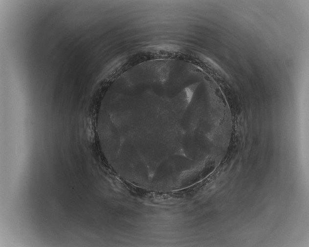 X0000113080774200908281222