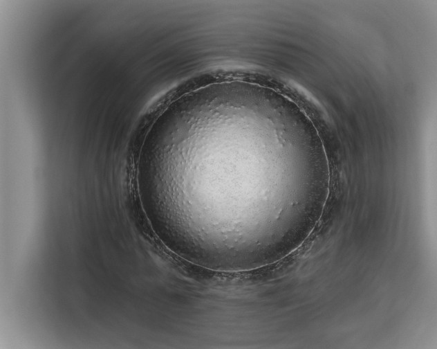 X0000113080775200908281222