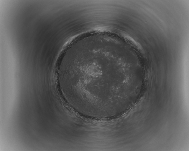 X0000113080776200908281222