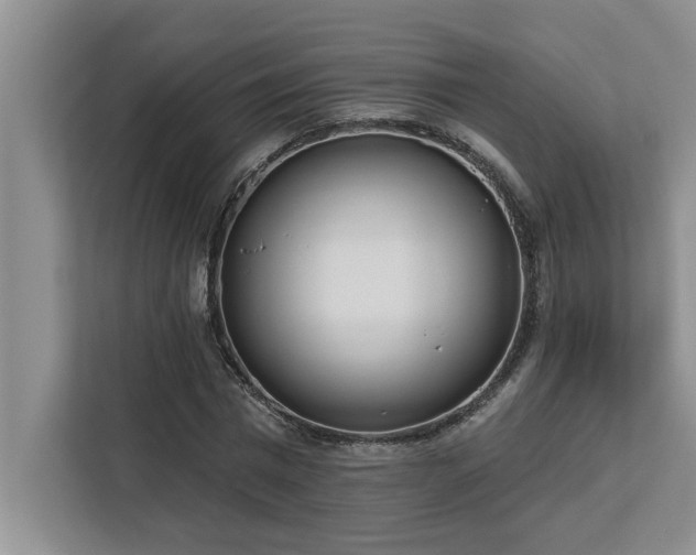 X0000113080777200908281222