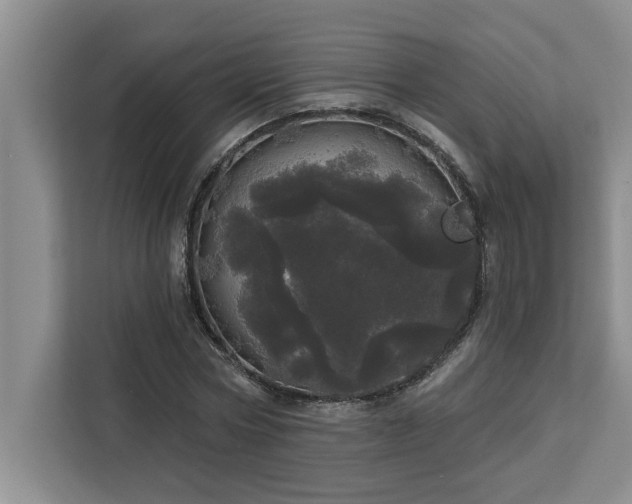 X0000113080778200908281222