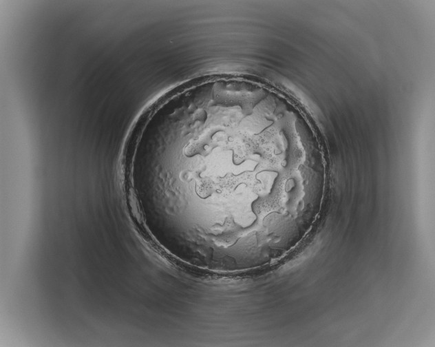 X0000113080779200908281222